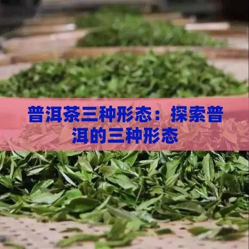普洱茶三种形态