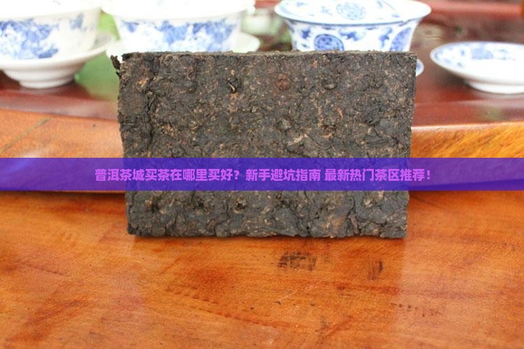 普洱茶城买茶在哪里买好