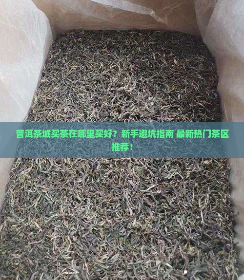 普洱茶城买茶在哪里买好
