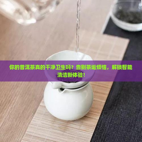 干净卫生普洱茶