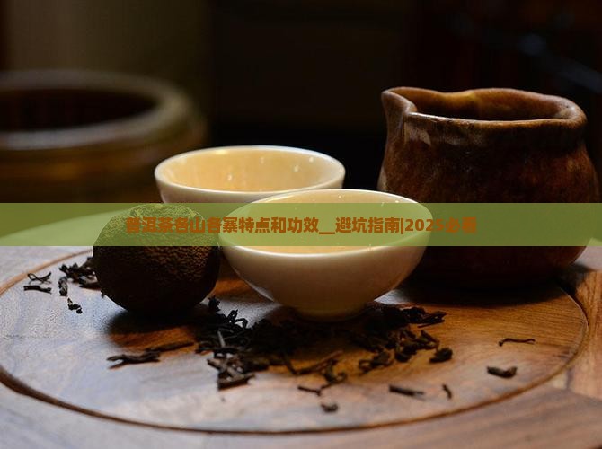 普洱茶各山各寨特点和功效
