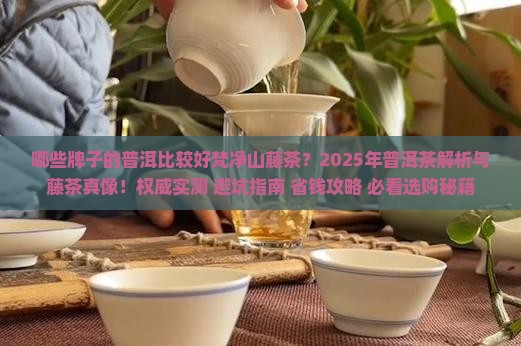 哪些牌子的普洱比较好梵净山藤茶