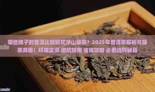 哪些牌子的普洱比较好梵净山藤茶