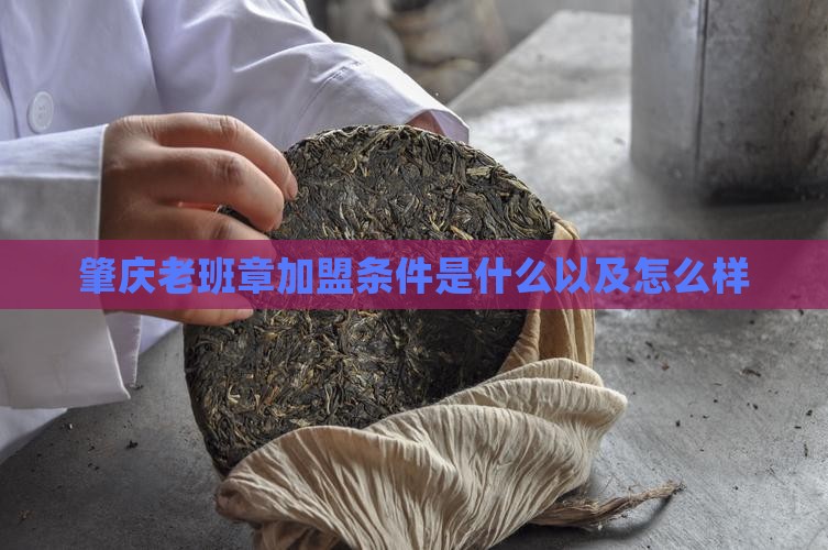 肇庆老班章加盟条件