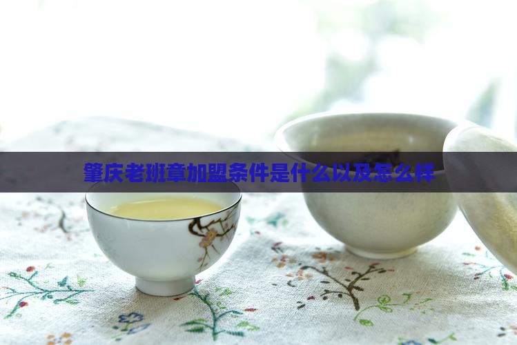 肇庆老班章加盟条件