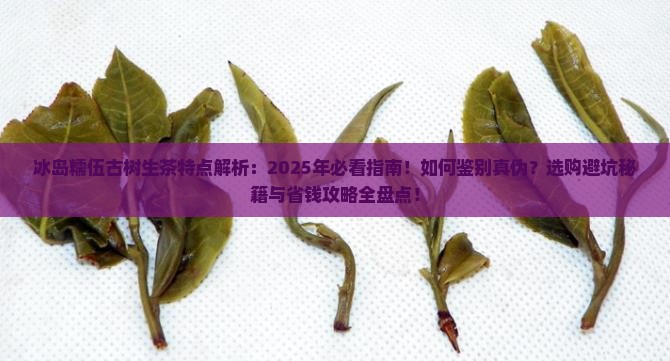 冰岛糯伍古树生茶特点