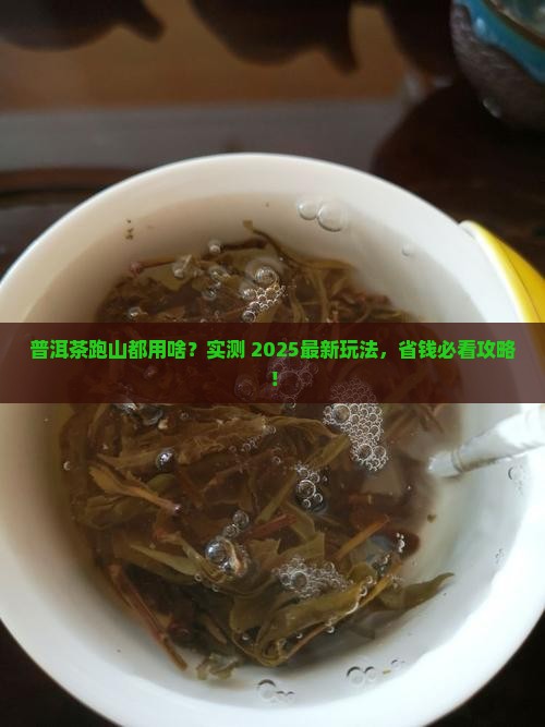普洱茶用什么来跑