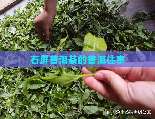 石屏普洱茶的西头往事
