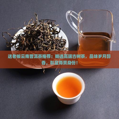 送老板云南普洱茶推荐