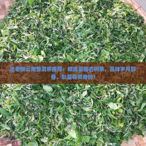 送老板云南普洱茶推荐