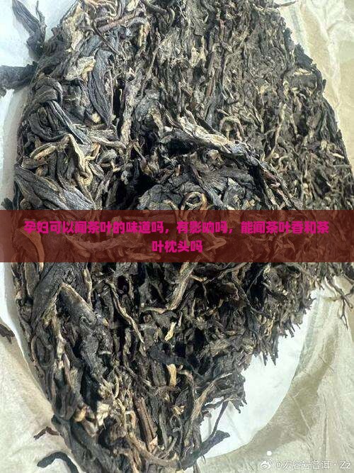 孕妇可以闻茶叶的味道吗