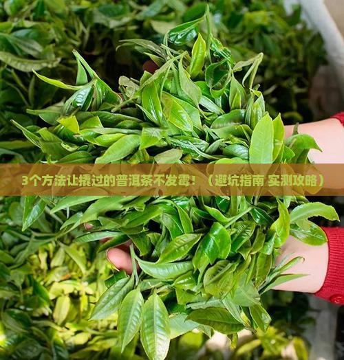 撬过的普洱茶如何保存