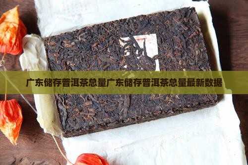 广东储存普洱茶总量