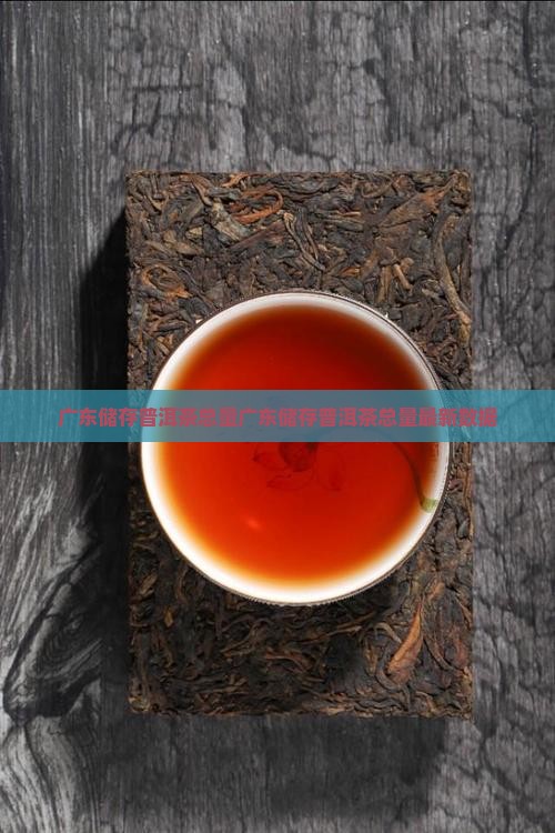 广东储存普洱茶总量