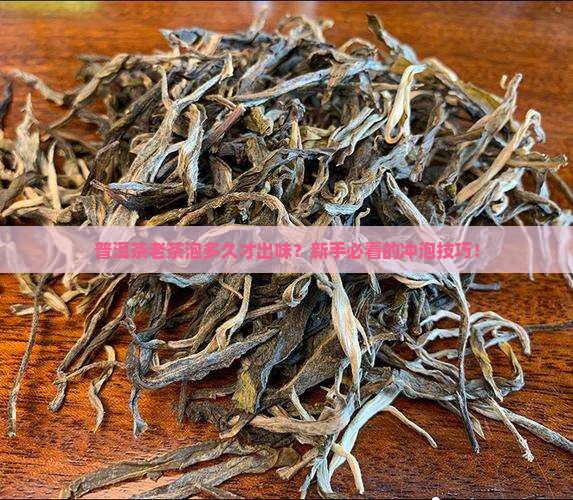 普洱茶老茶泡多久