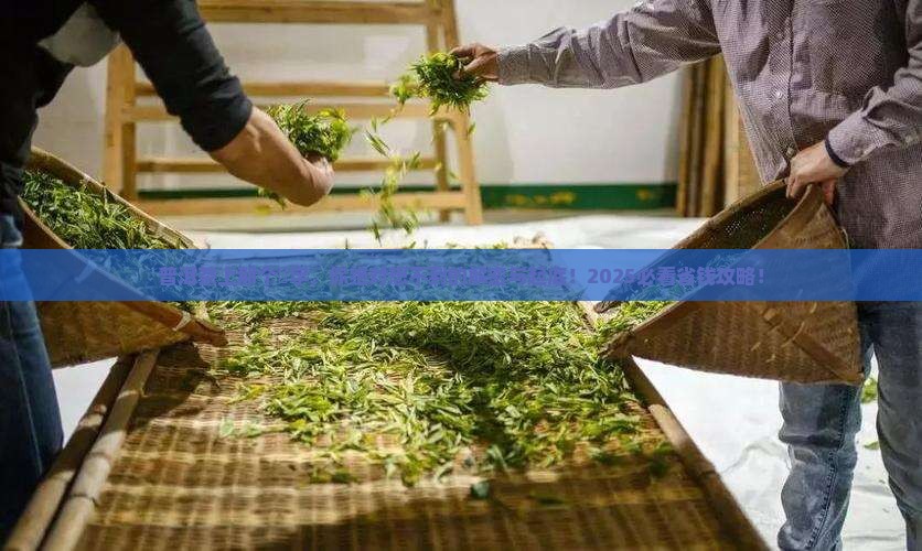 普洱茶上带个槚字