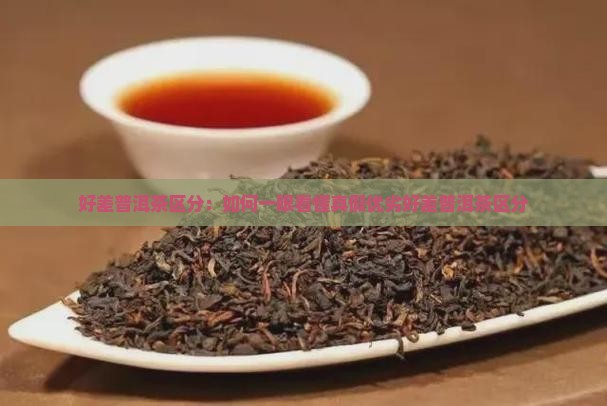 好差普洱茶区分
