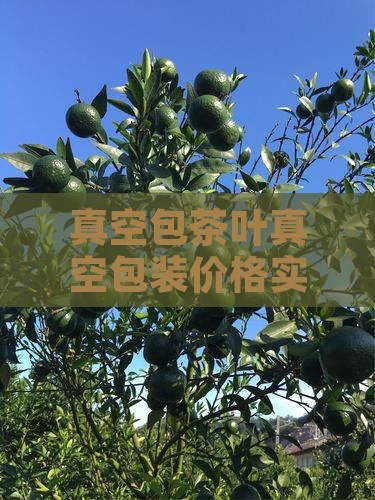 真空包装的茶叶