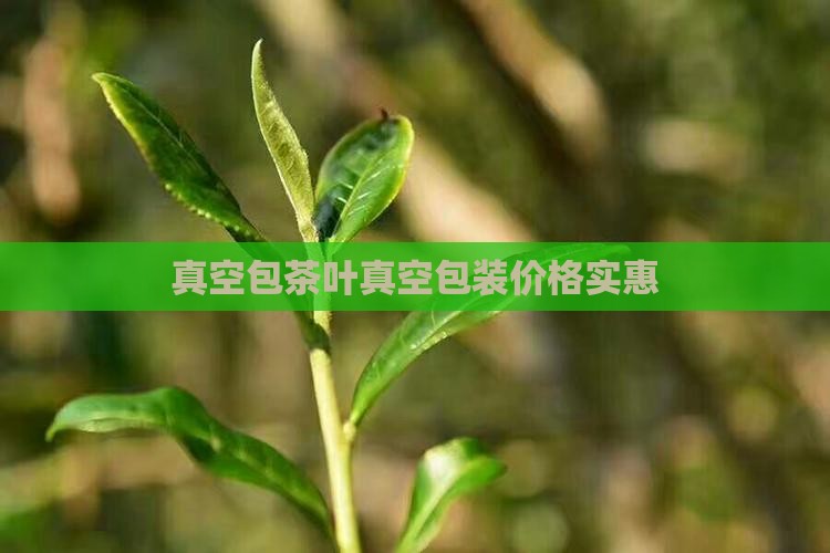 真空包装的茶叶