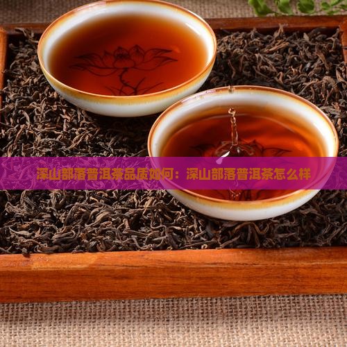 深山部落普洱茶品质如何