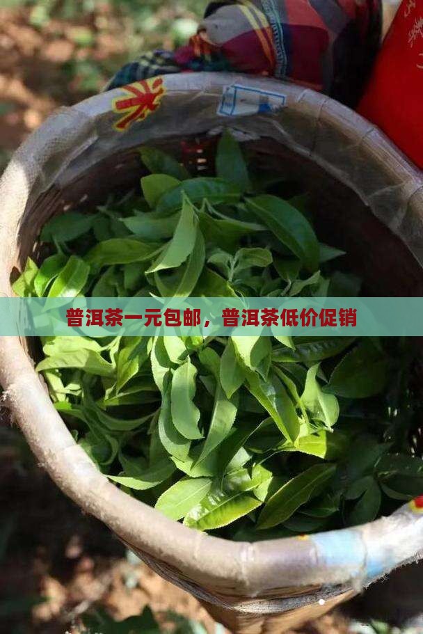 普洱茶一元包邮吗 普洱茶一元包邮吗