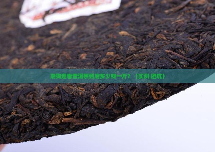 瑞狗迎春普洱茶多少钱一斤