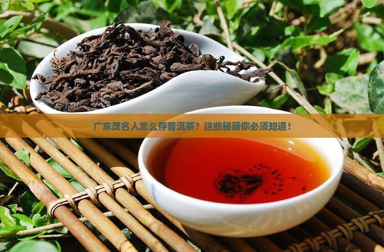 广东茂名如何存放普洱茶