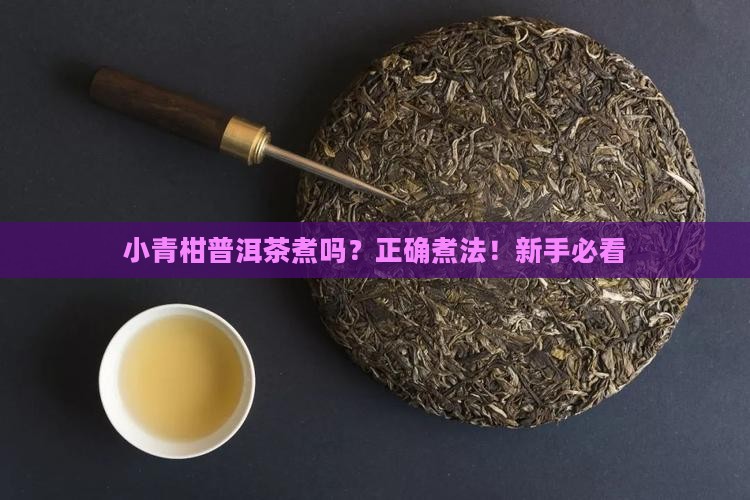 小青柑普洱茶煮吗