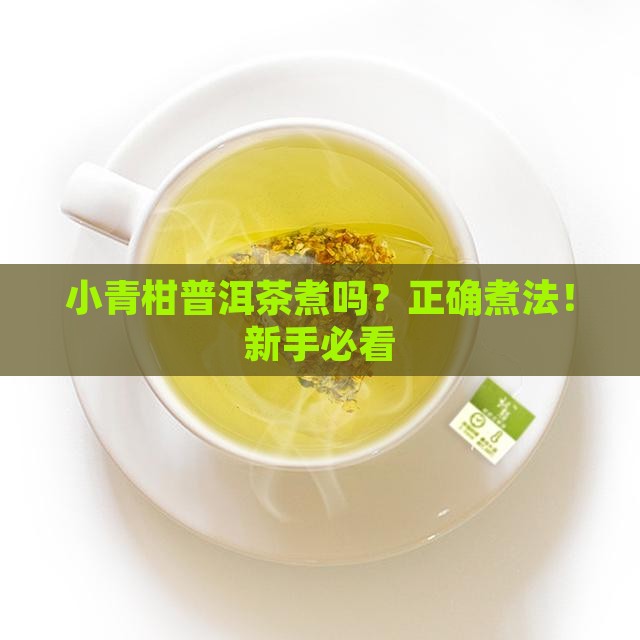 小青柑普洱茶煮吗