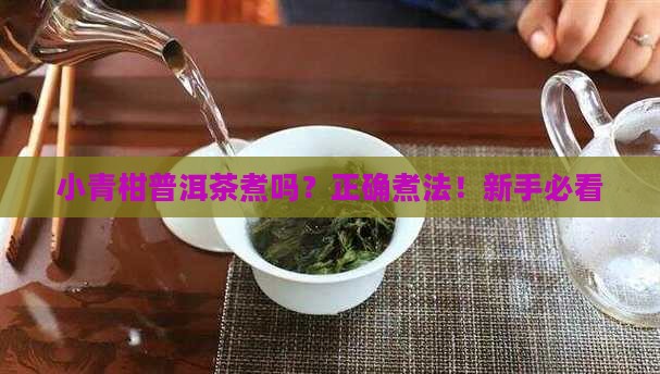 小青柑普洱茶煮吗