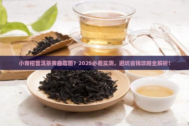 小青柑普洱茶黄曲霉菌