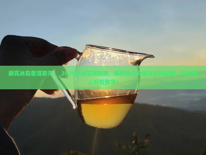 廖氏冰岛普洱茶沟