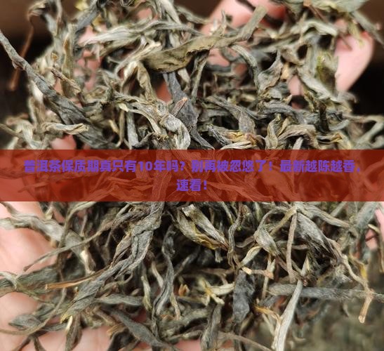 普洱茶保质期10年吗多久
