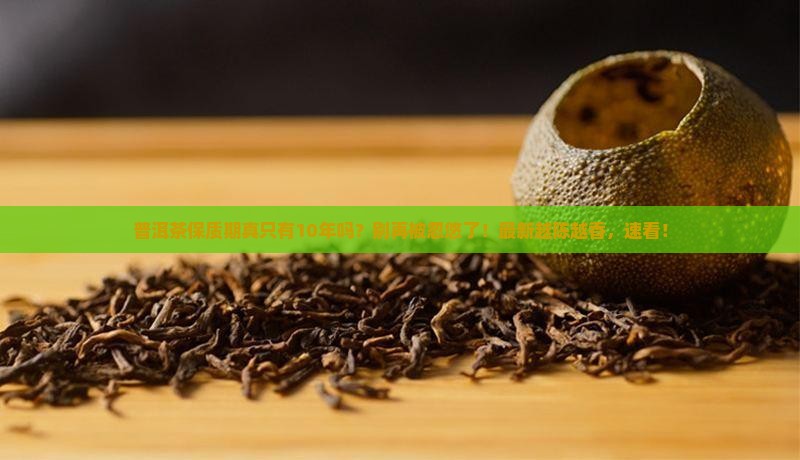 普洱茶保质期10年吗多久