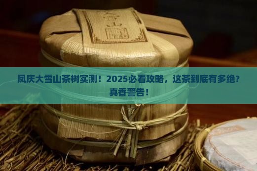 凤庆大雪山茶树
