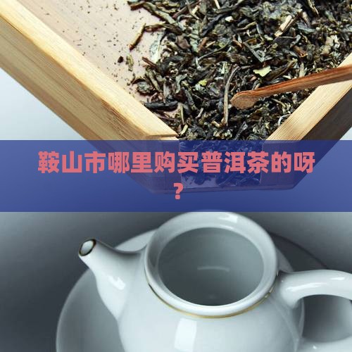 鞍山市哪里购买普洱茶的呀
