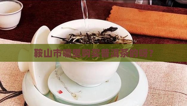 鞍山市哪里购买普洱茶的呀