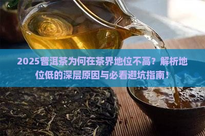 普洱茶在茶里地位低的原因