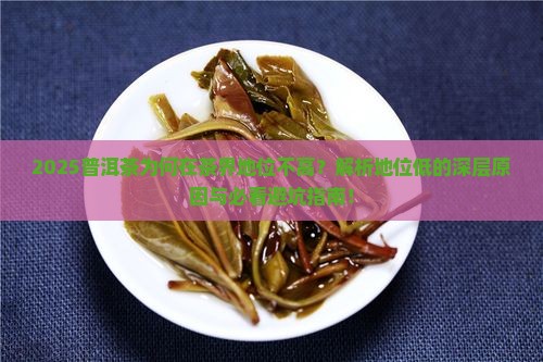 普洱茶在茶里地位低的原因