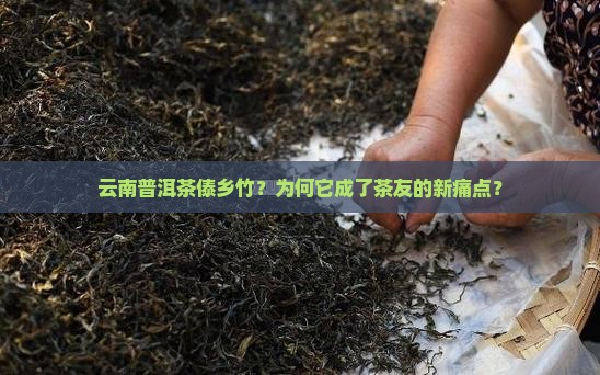 云南普洱茶傣乡竹