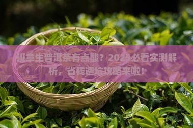 班章生普洱茶喝着有点酸