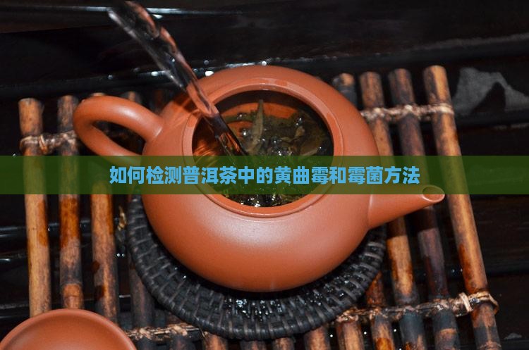 用什么检测普洱茶霉菌