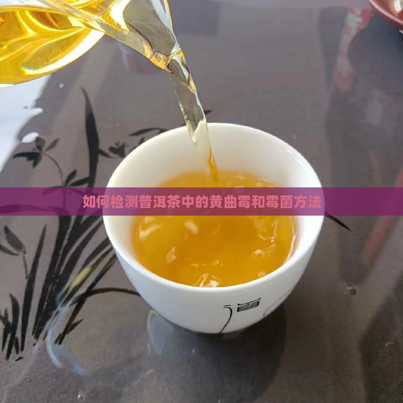 用什么检测普洱茶霉菌
