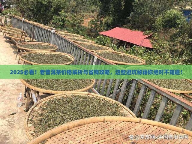 老普洱茶多少费用