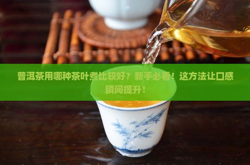 普洱茶用哪种茶叶煮比较好