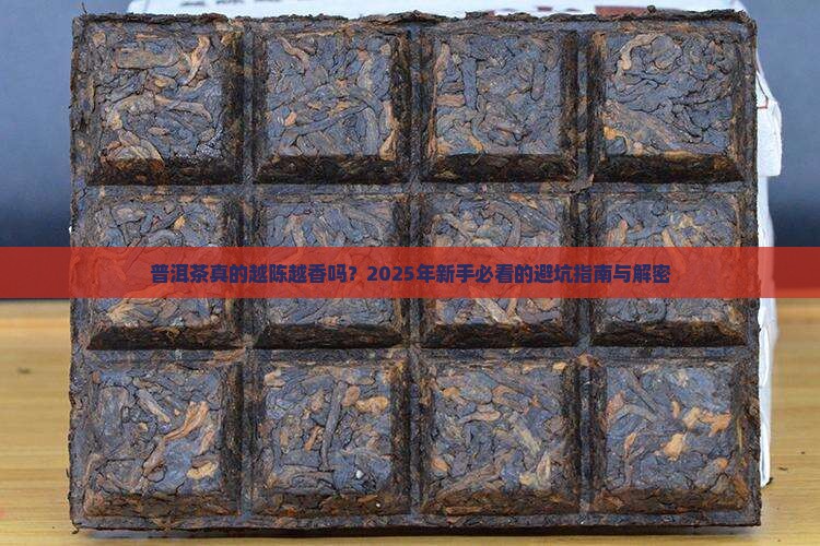 普洱茶有年限讲究吗