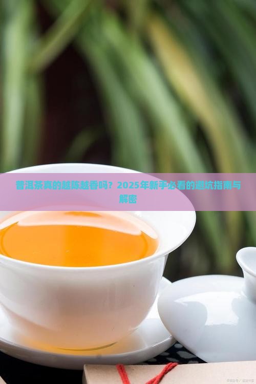 普洱茶有年限讲究吗