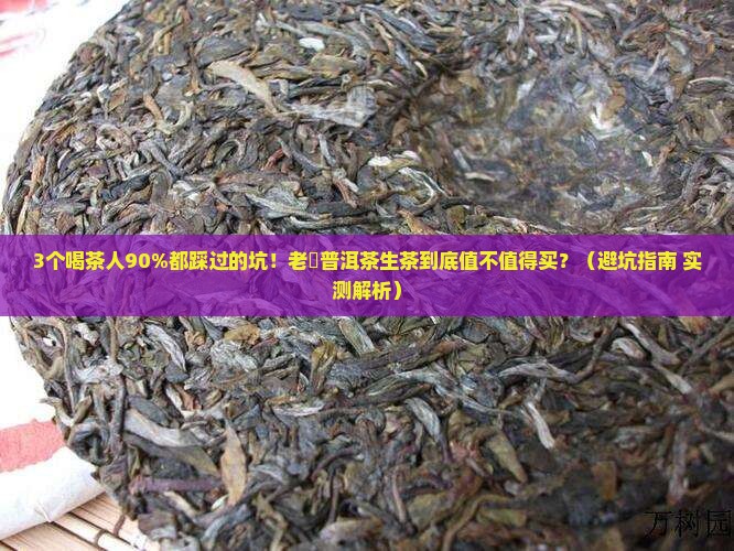 老蔎普洱茶生茶