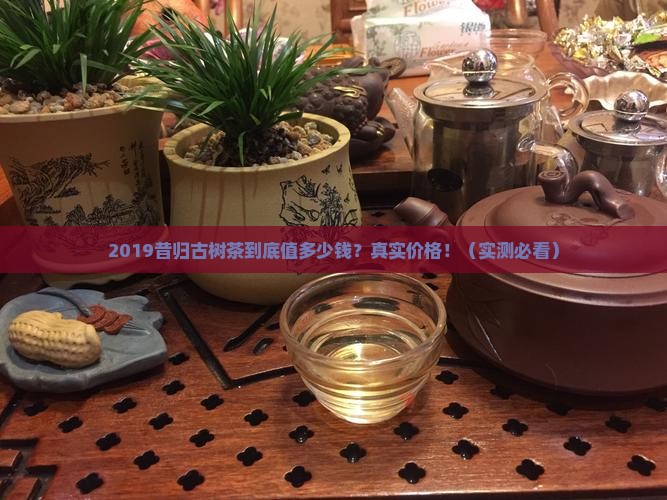 2019年昔归古树茶价格
