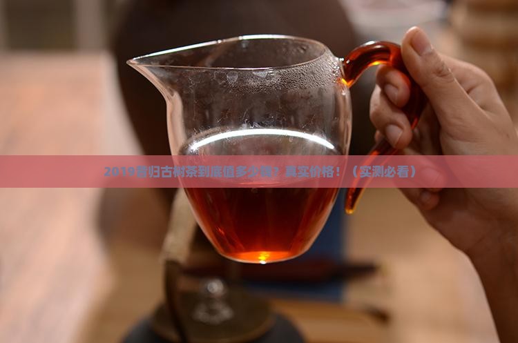 2019年昔归古树茶价格